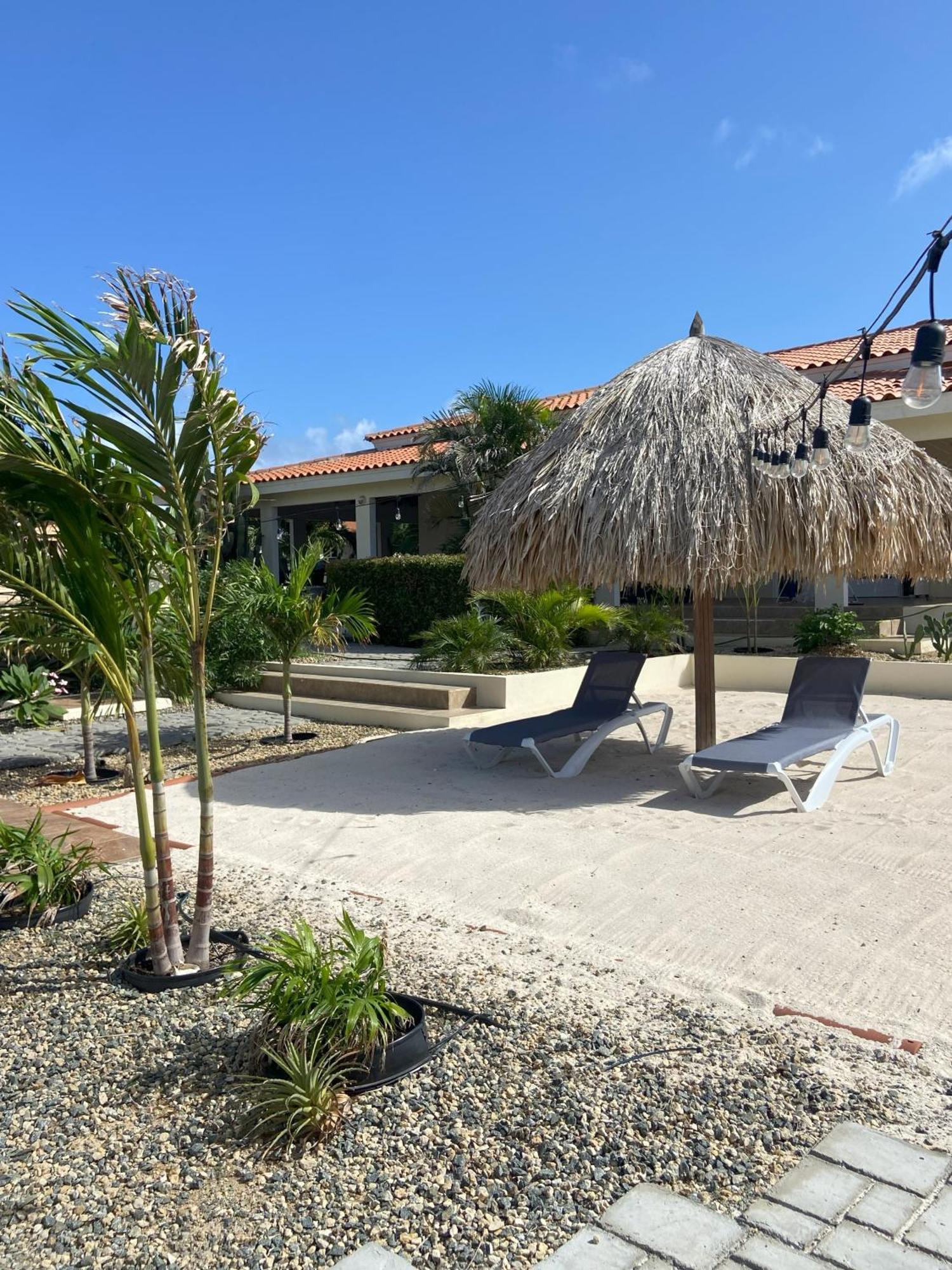 Pura Vida Aruba Appartement Palma Noord Exteriér fotografie