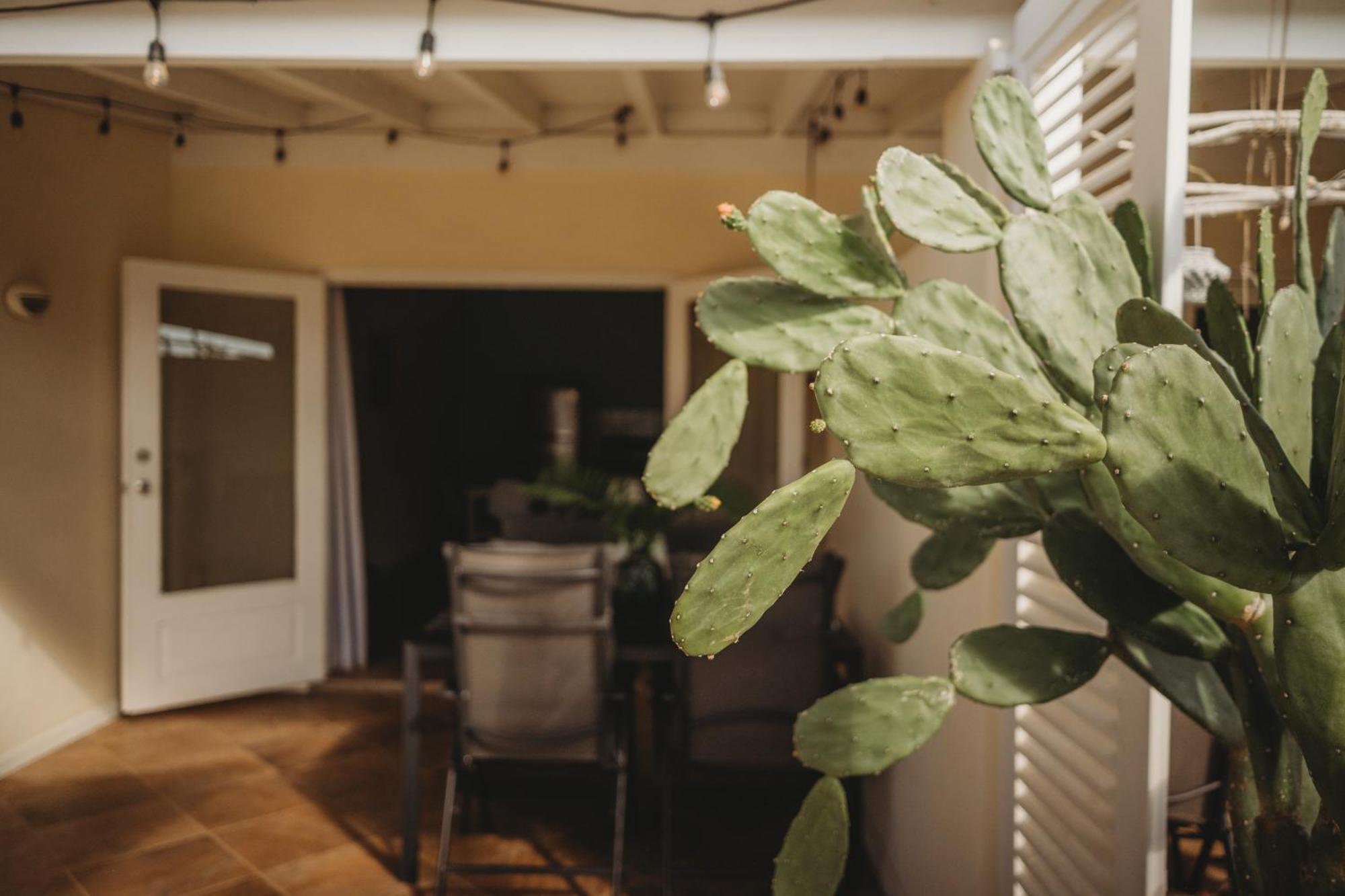 Pura Vida Aruba Appartement Palma Noord Exteriér fotografie